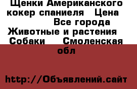 Щенки Американского кокер спаниеля › Цена ­ 15 000 - Все города Животные и растения » Собаки   . Смоленская обл.